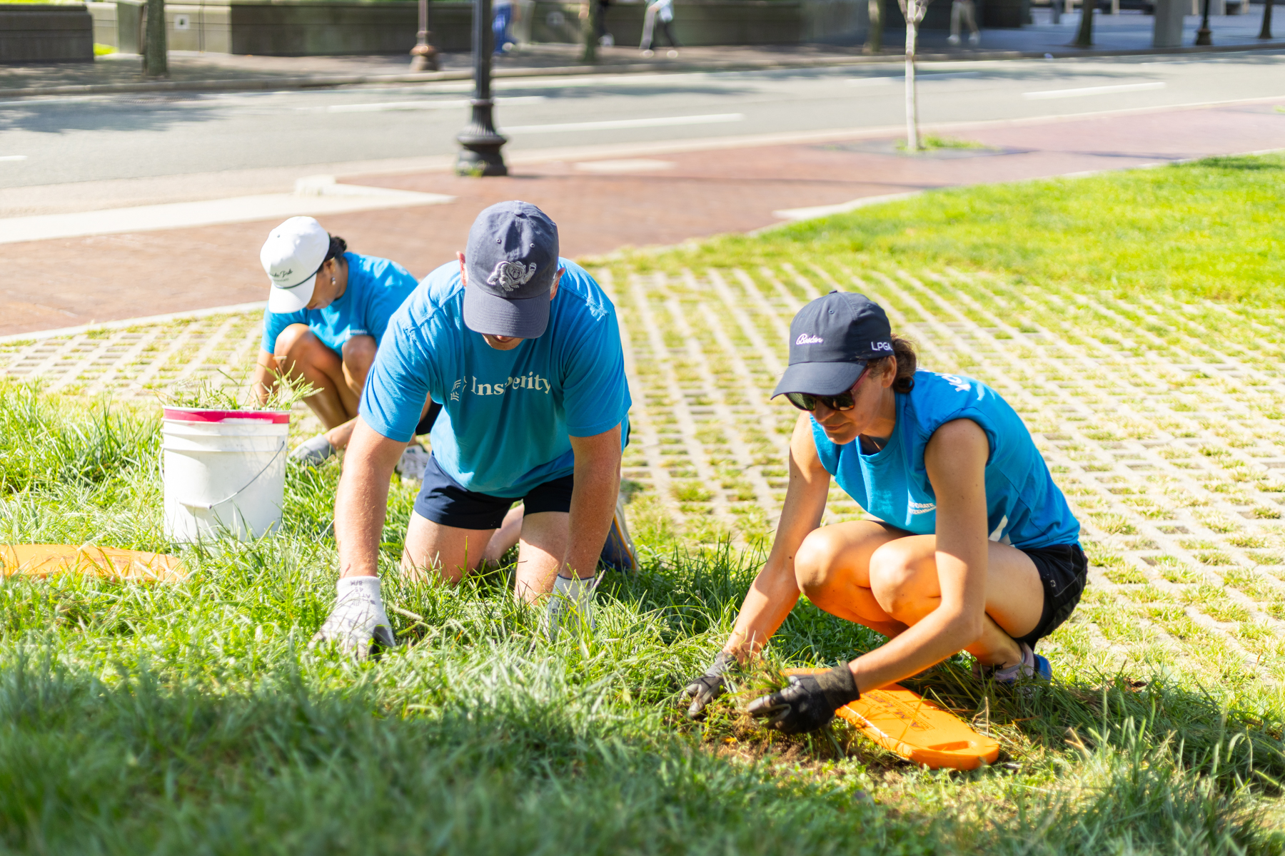 Board and governance practices